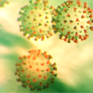 Corona Virus